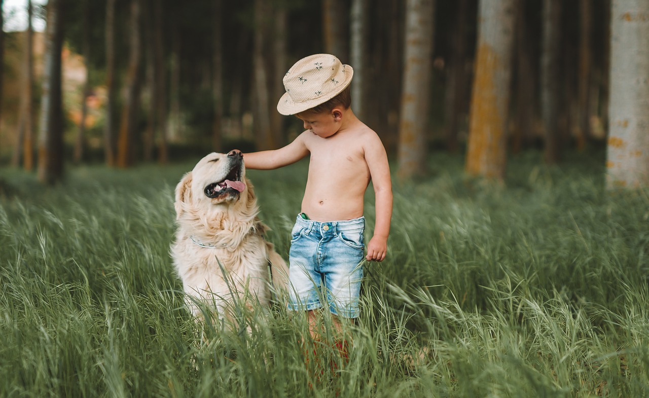 enfant et animaux